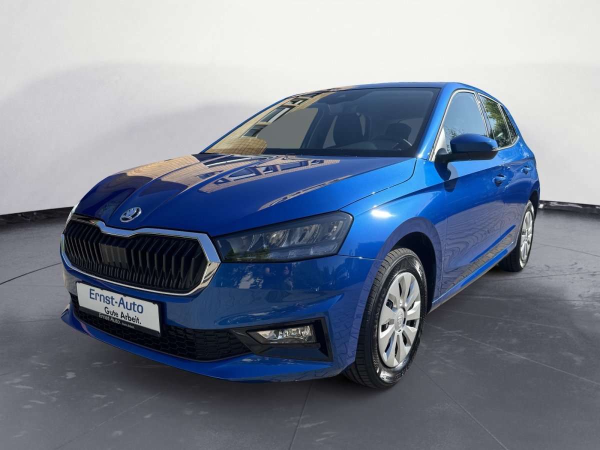 Fahrzeugbild eines Skoda Fabia