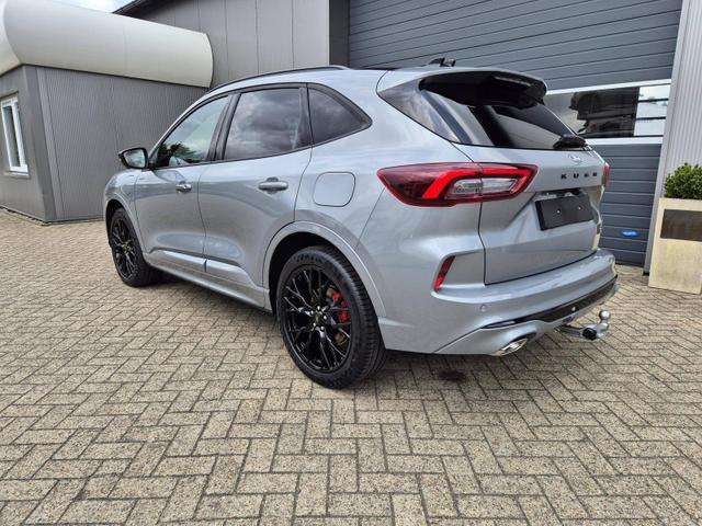 Fahrzeugbild eines Ford Kuga