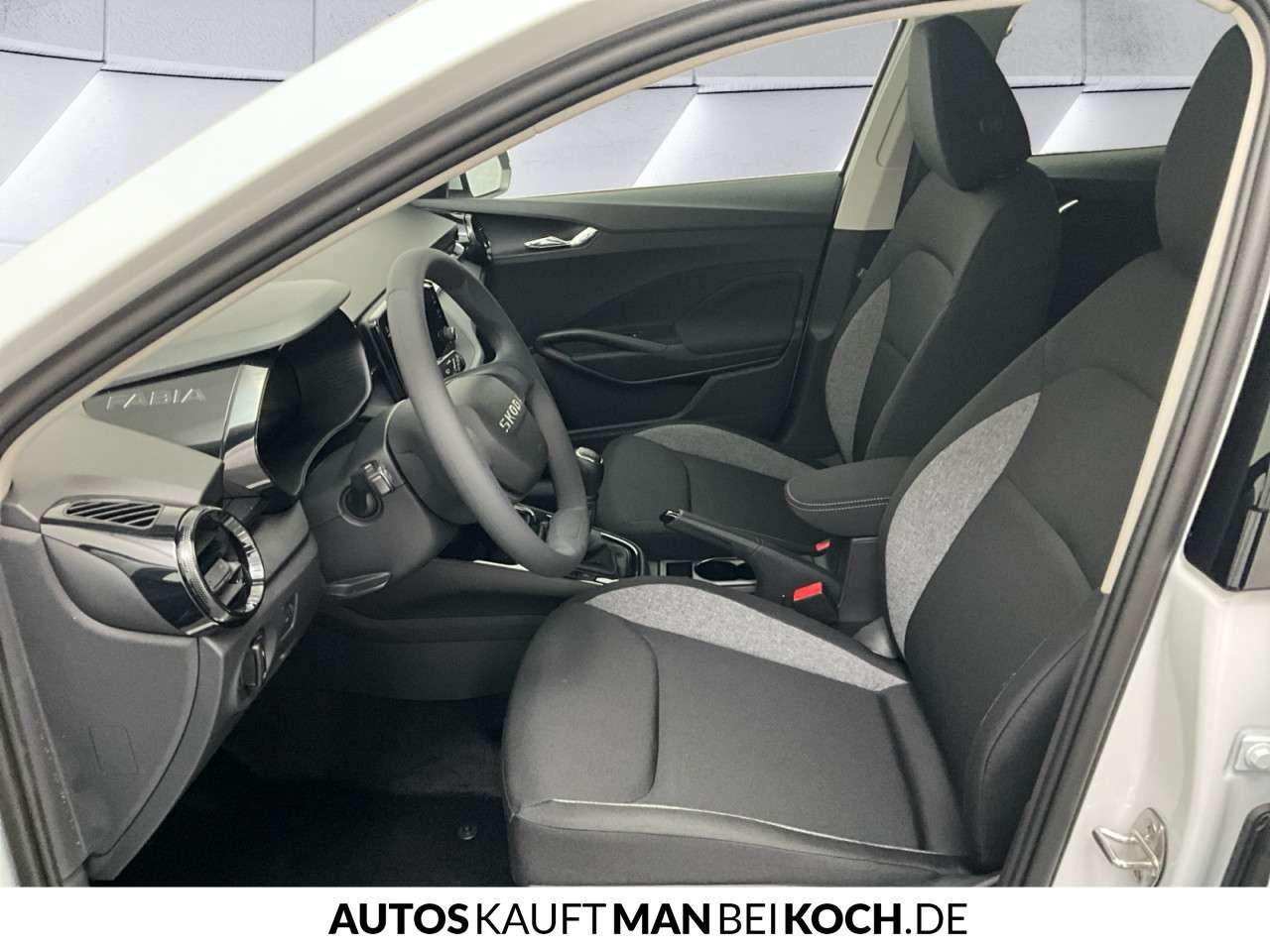 Fahrzeugbild eines Skoda Fabia