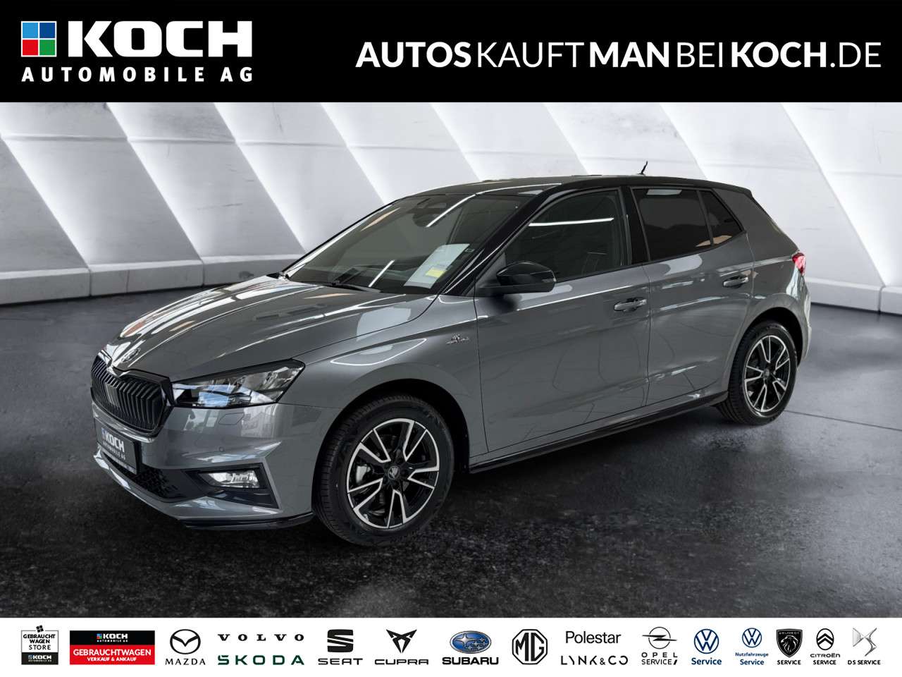 Fahrzeugbild eines Skoda Fabia