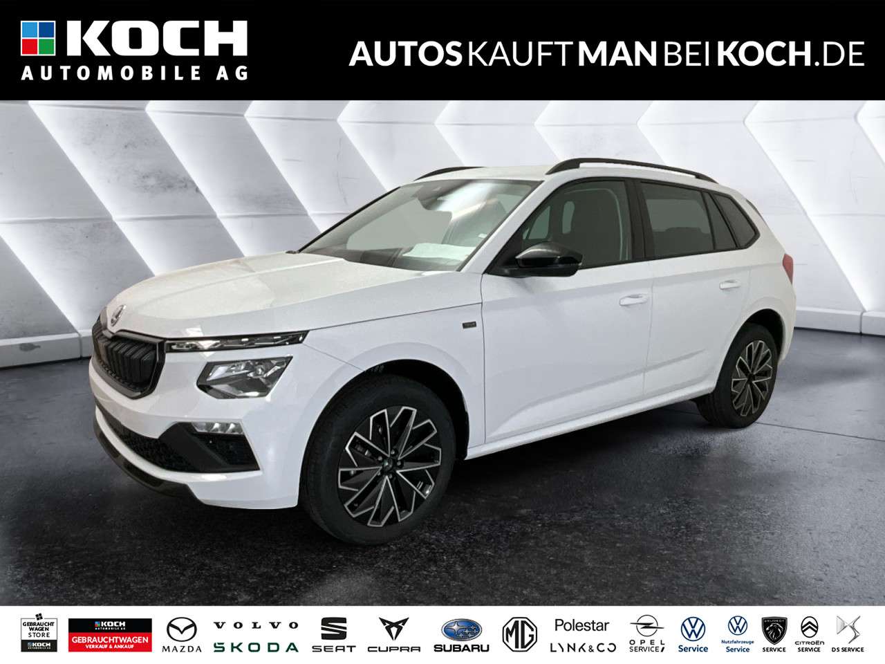 Fahrzeugbild eines Skoda Kamiq