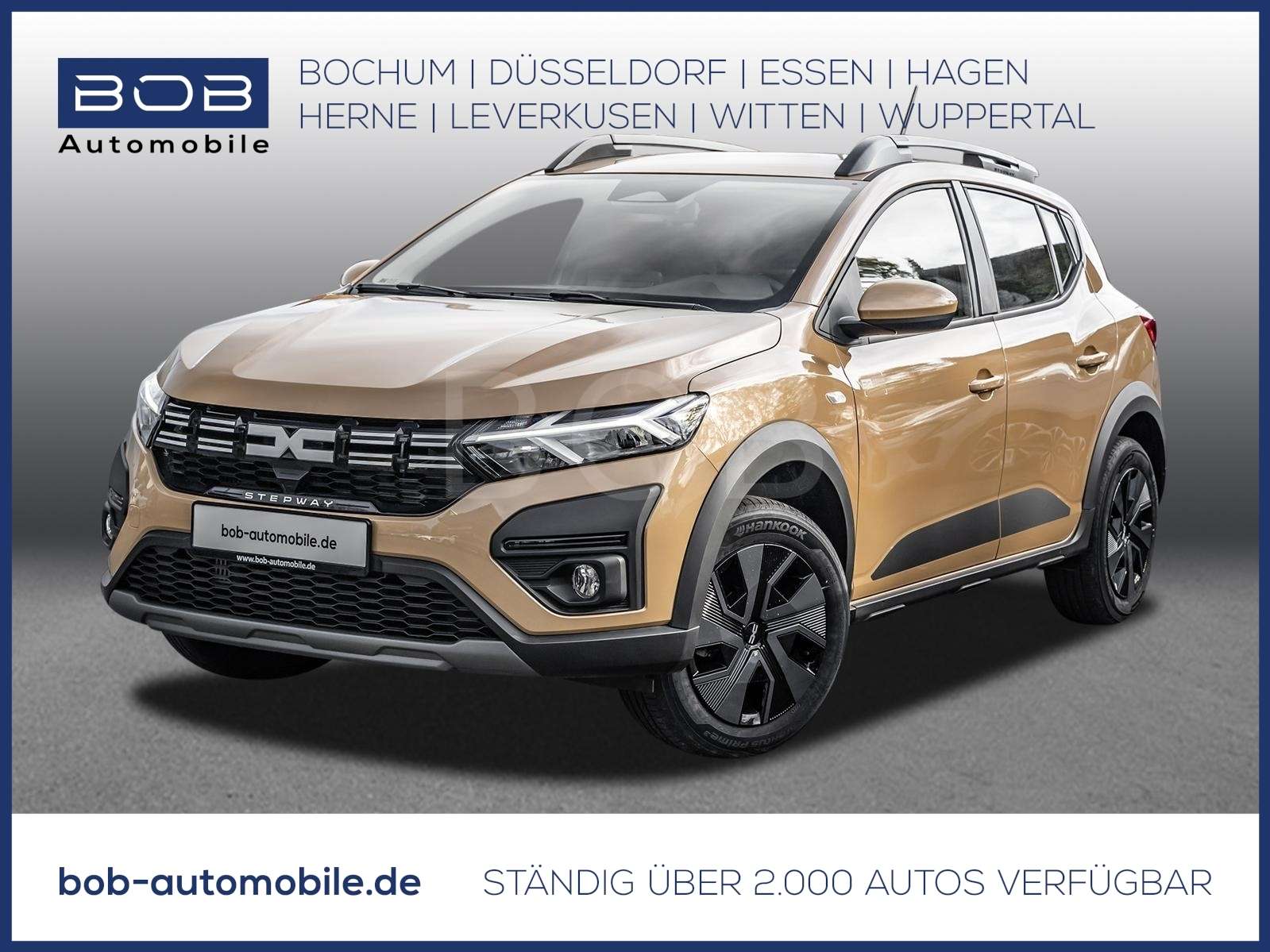 Fahrzeugbild eines Dacia Sandero
