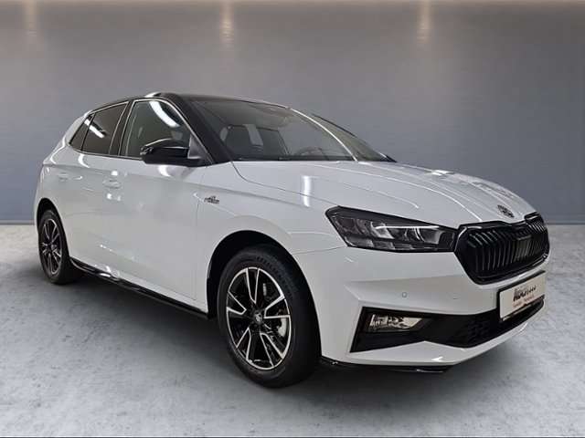 Fahrzeugbild eines Skoda Fabia