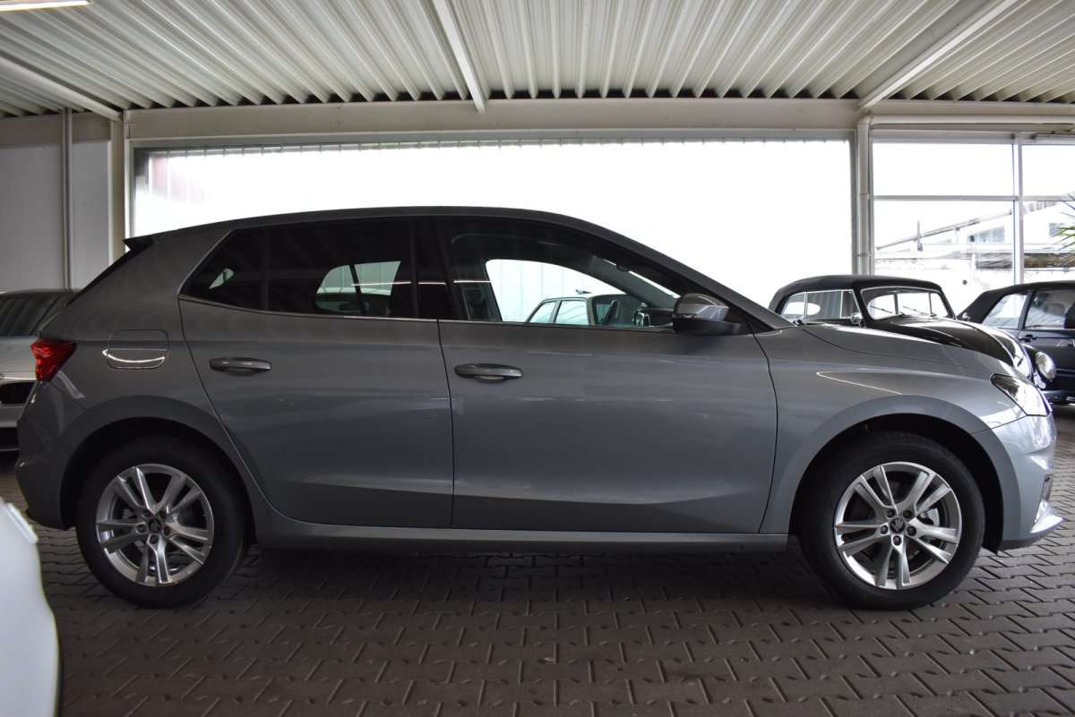 Fahrzeugbild eines Skoda Fabia