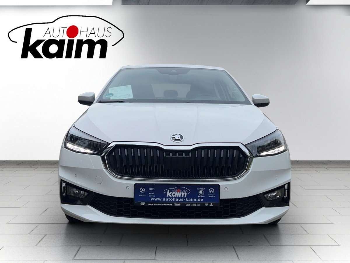 Fahrzeugbild eines Skoda Fabia