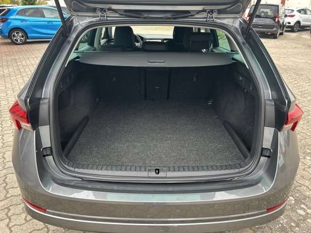 Fahrzeugbild eines Skoda Octavia