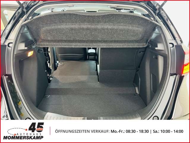 Fahrzeugbild eines Honda Jazz