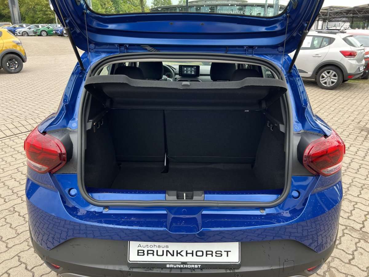 Fahrzeugbild eines Dacia Sandero