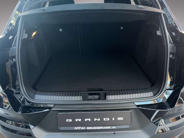 Fahrzeugbild eines Mitsubishi Grandis