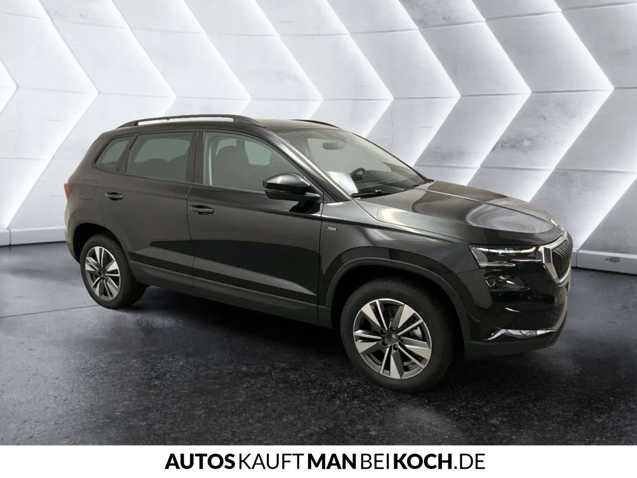 Fahrzeugbild eines Skoda Karoq