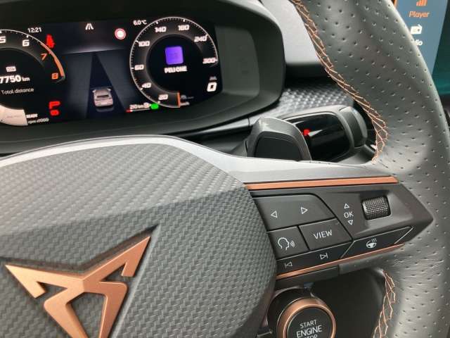 Fahrzeugbild eines CUPRA Terramar