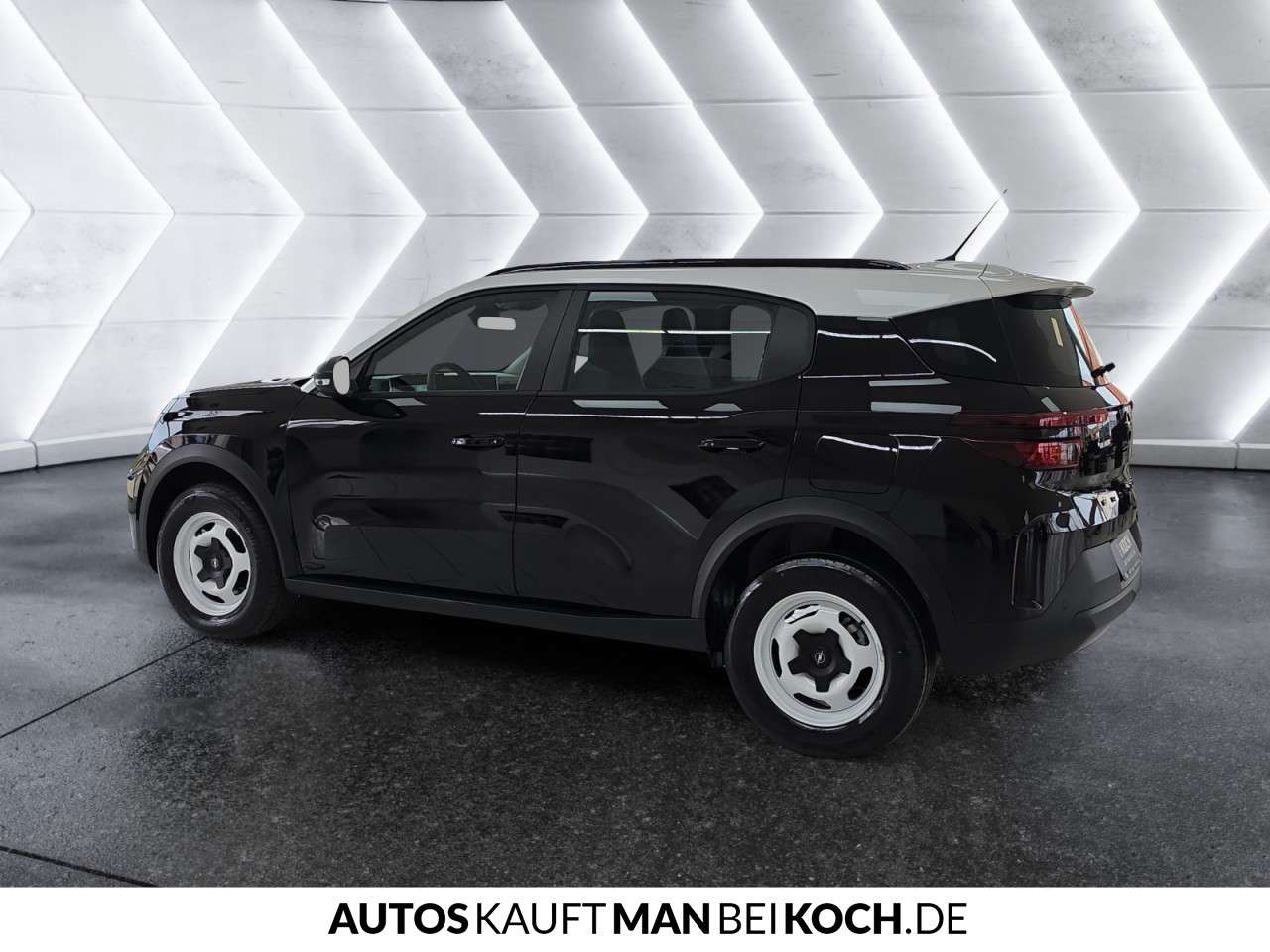 Fahrzeugbild eines Opel Frontera