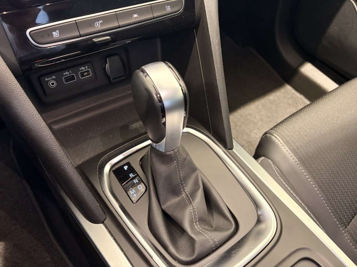 Fahrzeugbild eines Renault Mégane