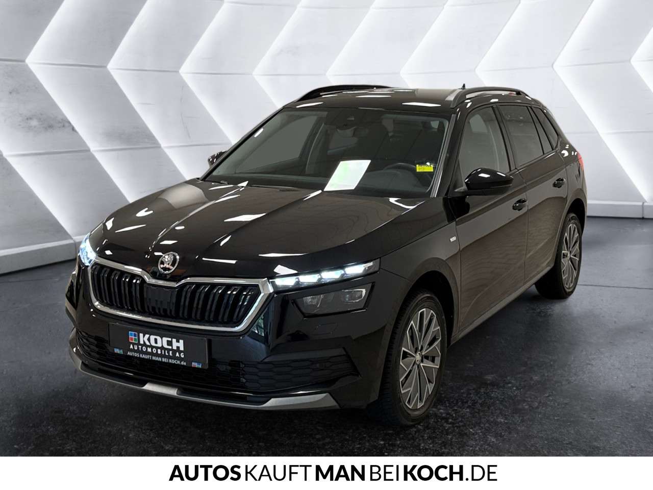 Fahrzeugbild eines Skoda Kamiq