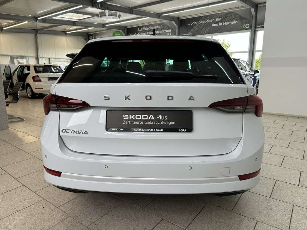 Fahrzeugbild eines Skoda Octavia