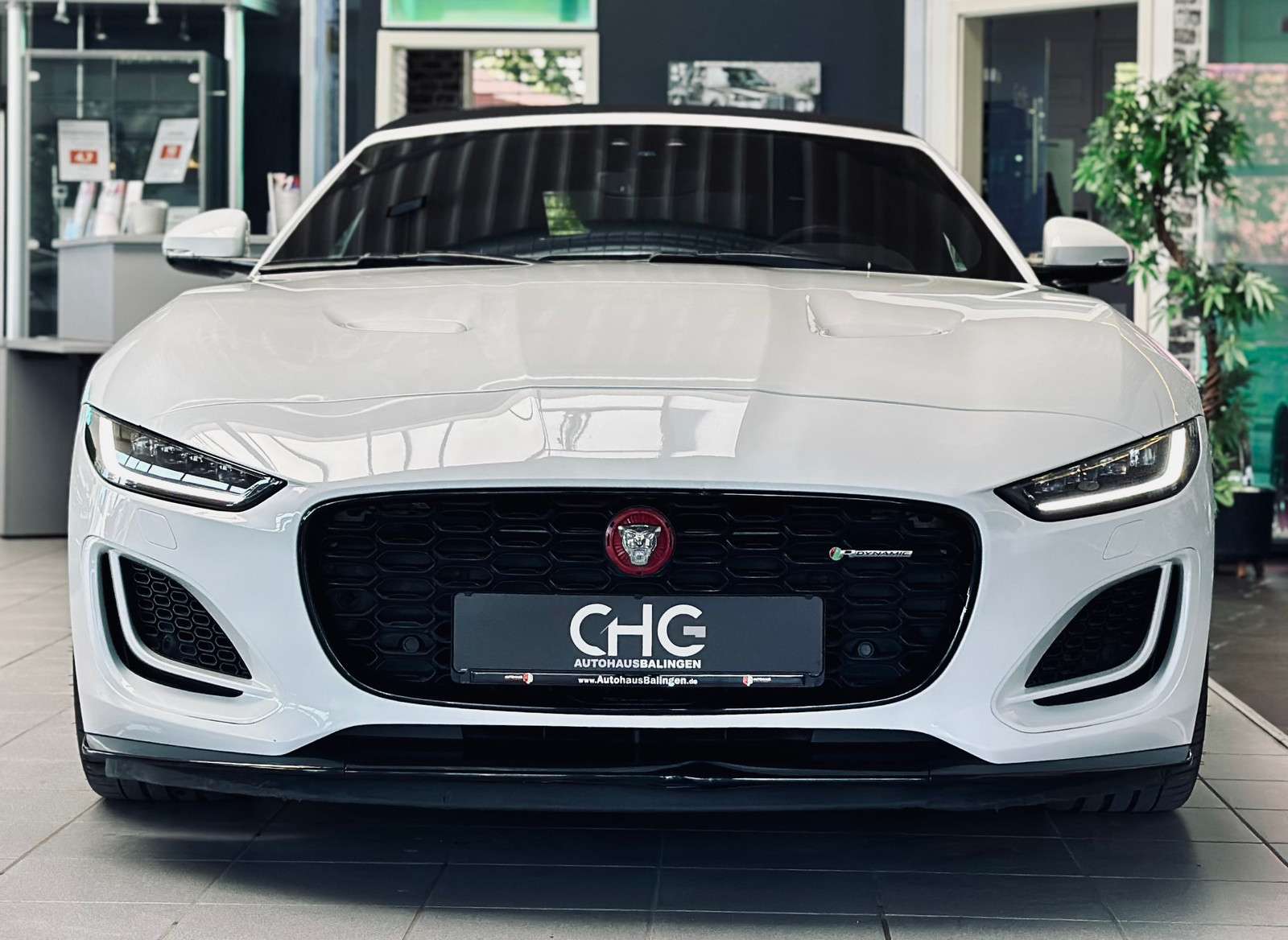 Fahrzeugbild eines Jaguar F-Type