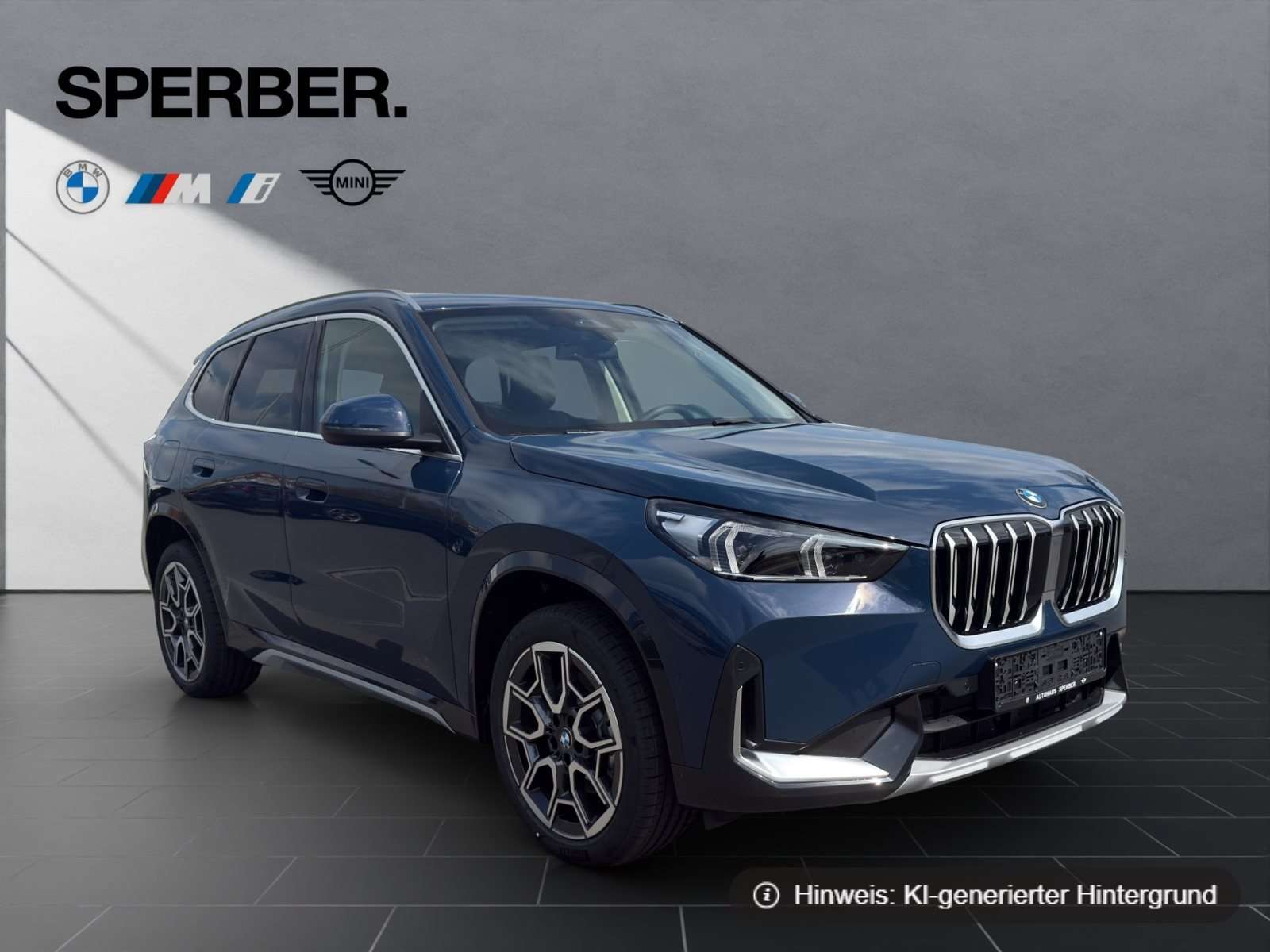 Fahrzeugbild eines BMW X1