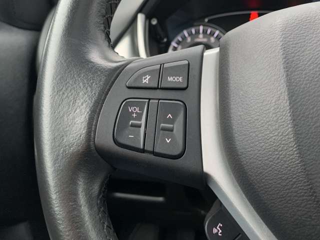 Fahrzeugbild eines Suzuki Vitara