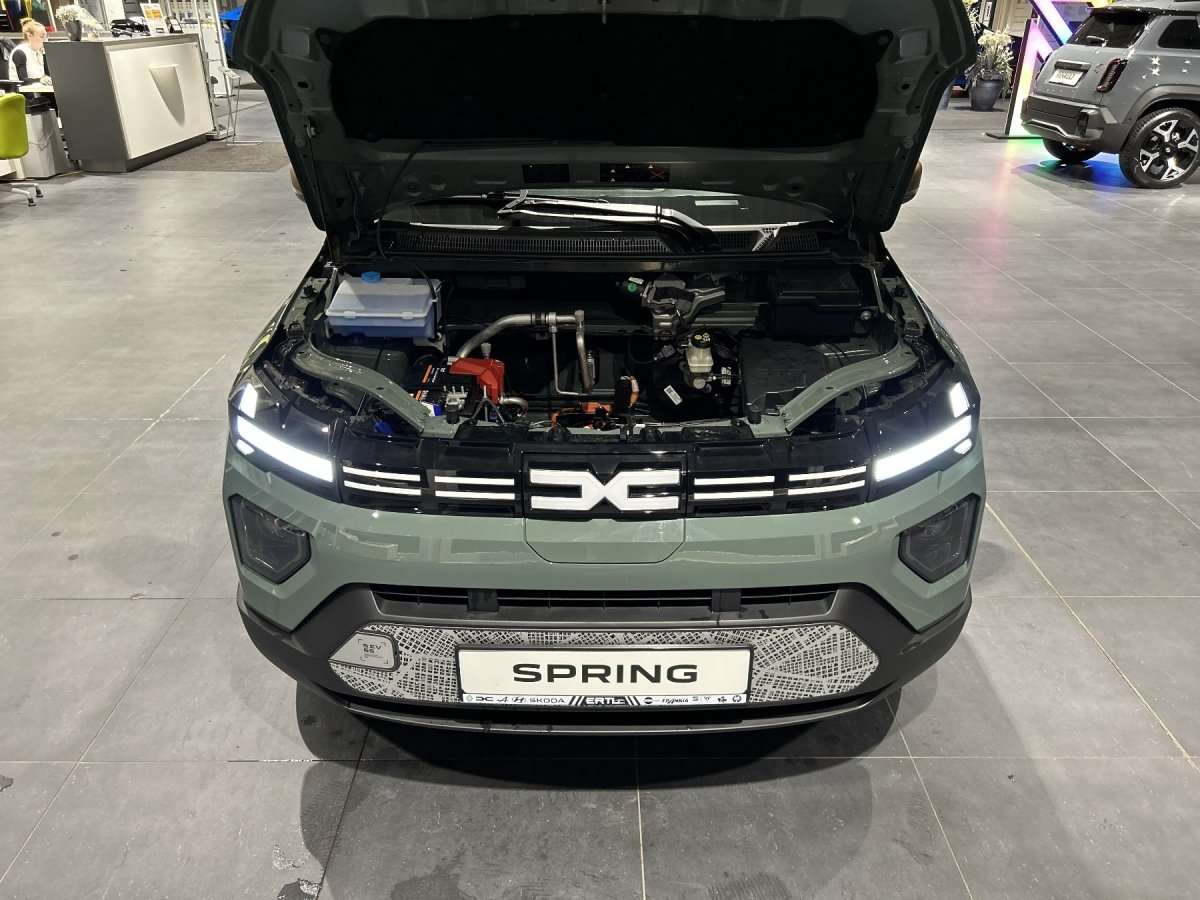 Fahrzeugbild eines Dacia Spring