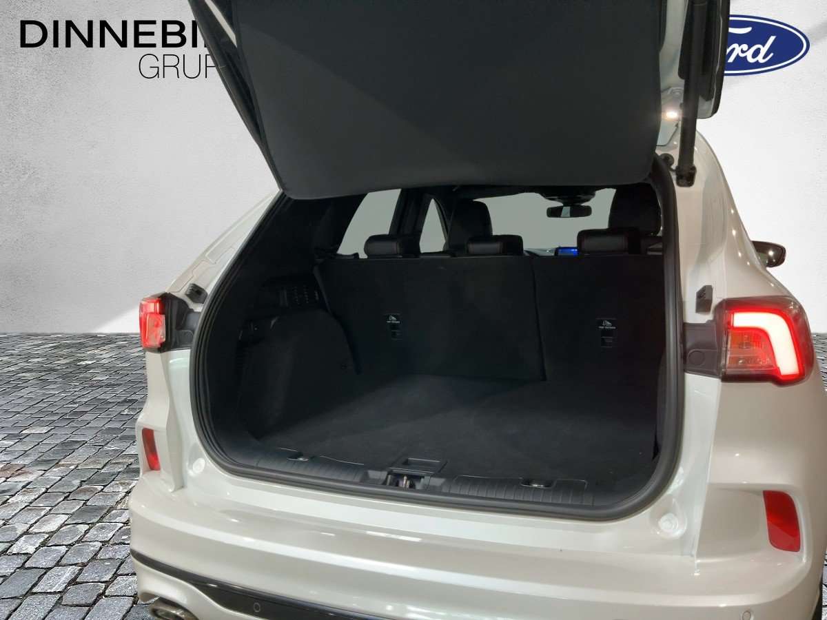 Fahrzeugbild eines Ford Kuga