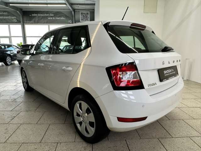 Fahrzeugbild eines Skoda Fabia