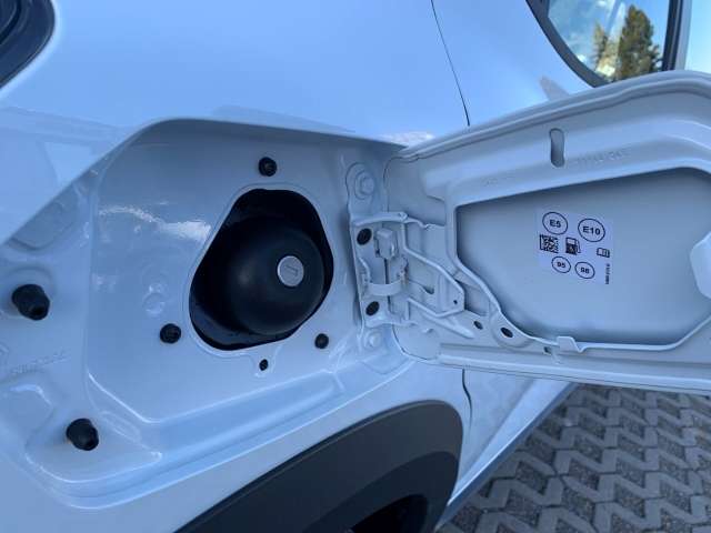 Fahrzeugbild eines Dacia Sandero