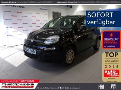 Bild Fiat Panda