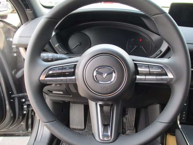 Fahrzeugbild eines Mazda MX-30