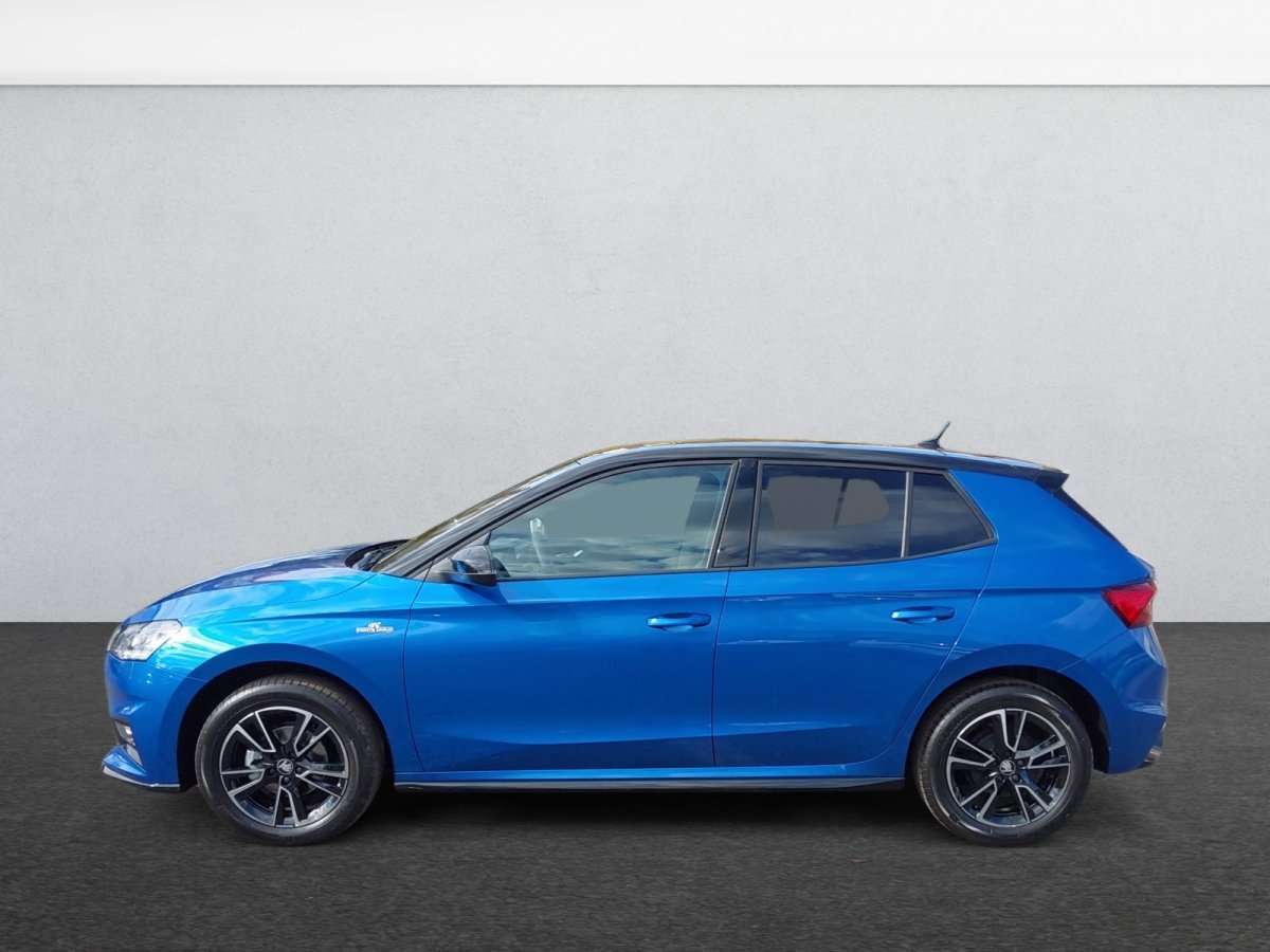Fahrzeugbild eines Skoda Fabia