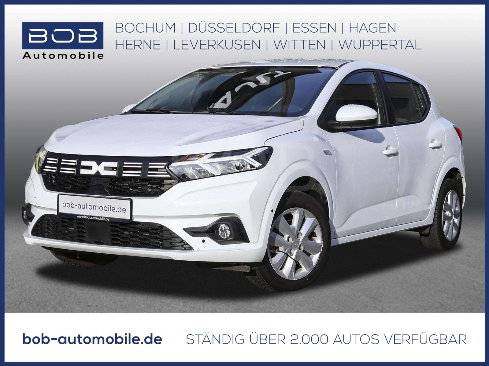 Fahrzeugbild eines Dacia Sandero
