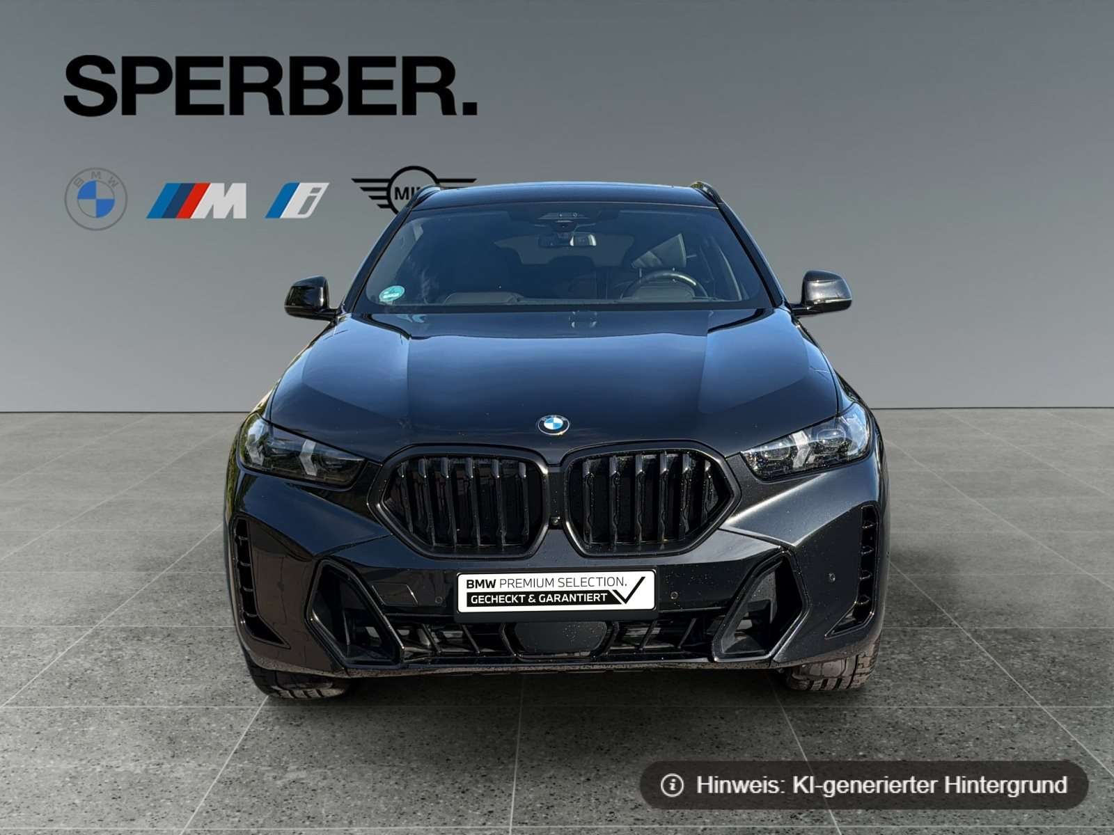 Fahrzeugbild eines BMW X6