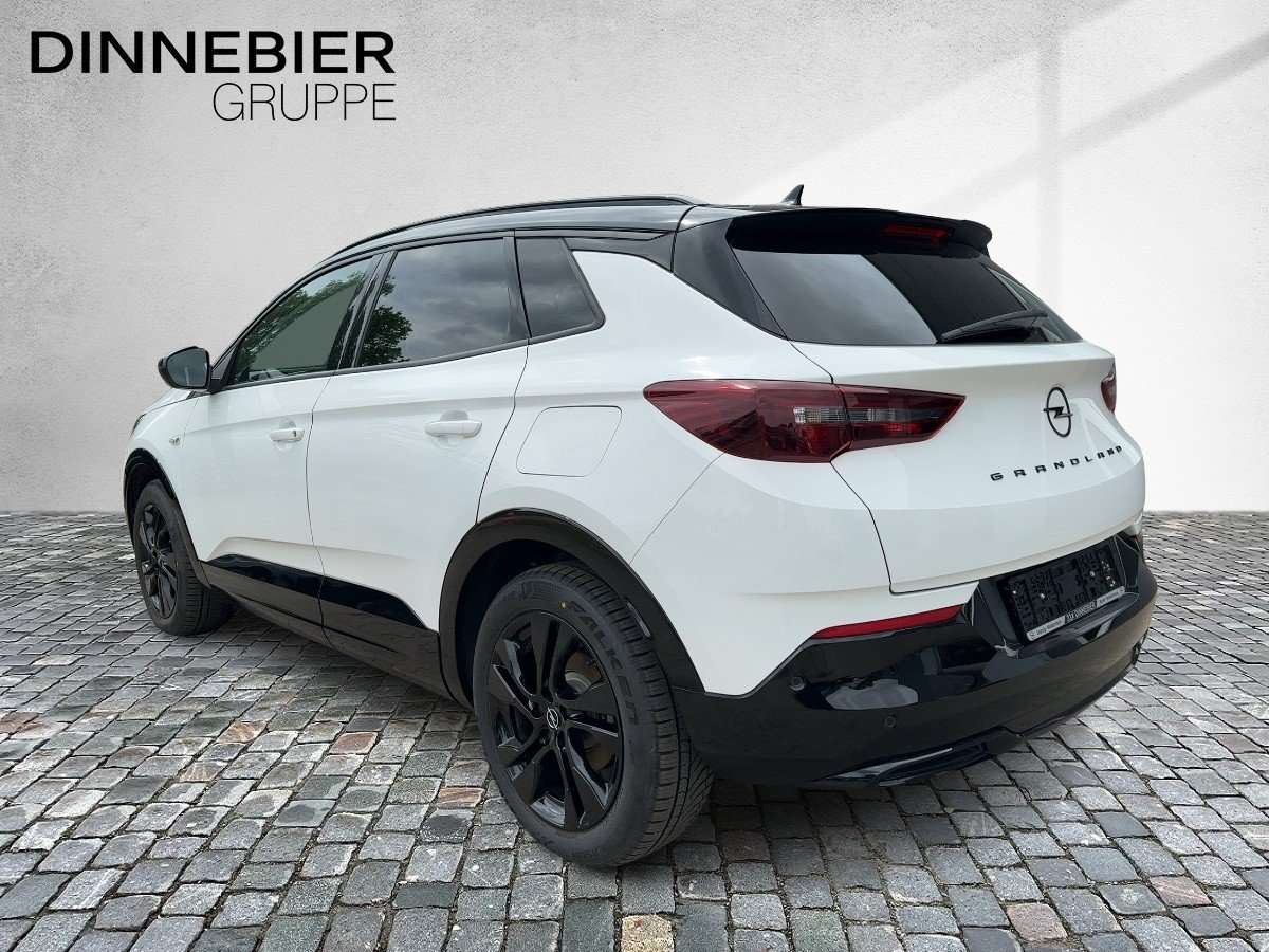 Fahrzeugbild eines Opel Grandland X