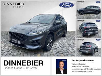 Bild Ford Kuga