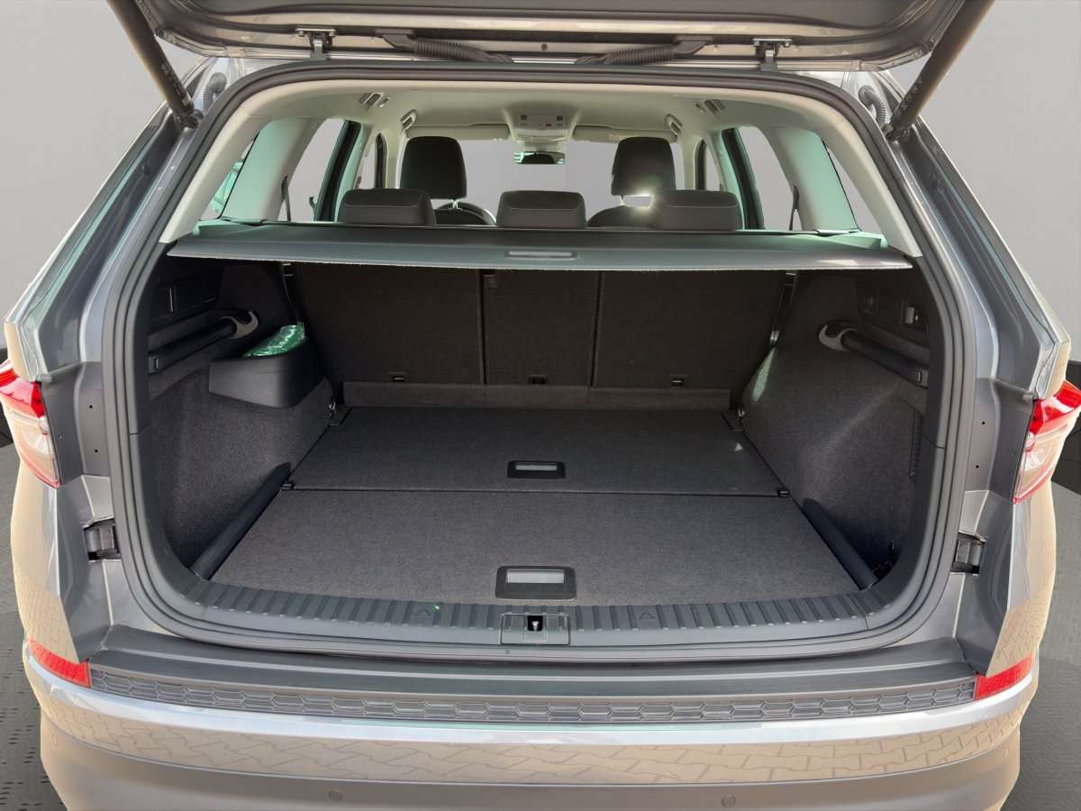 Fahrzeugbild eines Skoda Kodiaq