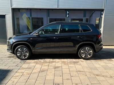 Bild Skoda Karoq
