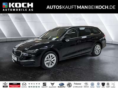 Bild Skoda Octavia