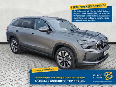 Bild Skoda Kodiaq