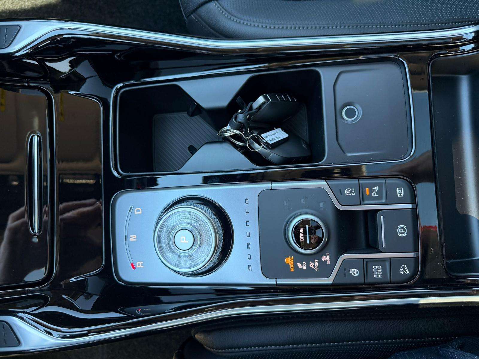 Fahrzeugbild eines Kia Sorento