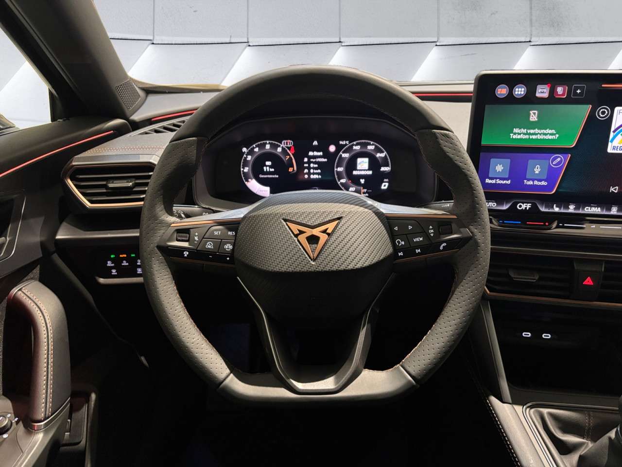 Fahrzeugbild eines CUPRA Formentor