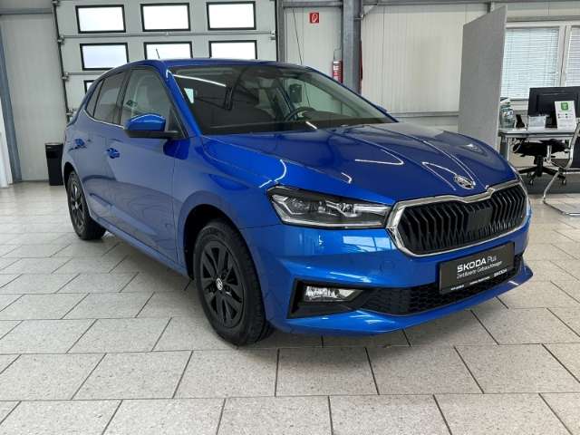 Fahrzeugbild eines Skoda Fabia