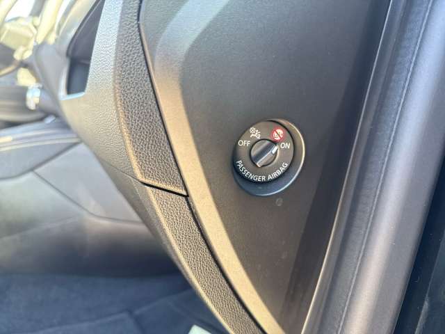 Fahrzeugbild eines Renault ZOE