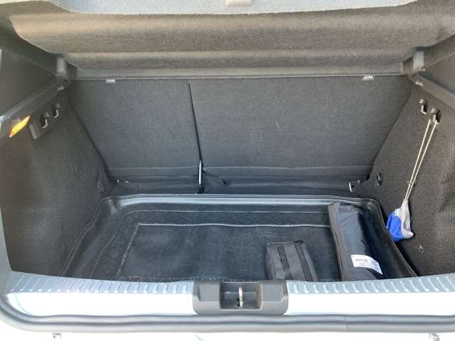 Fahrzeugbild eines Dacia Sandero