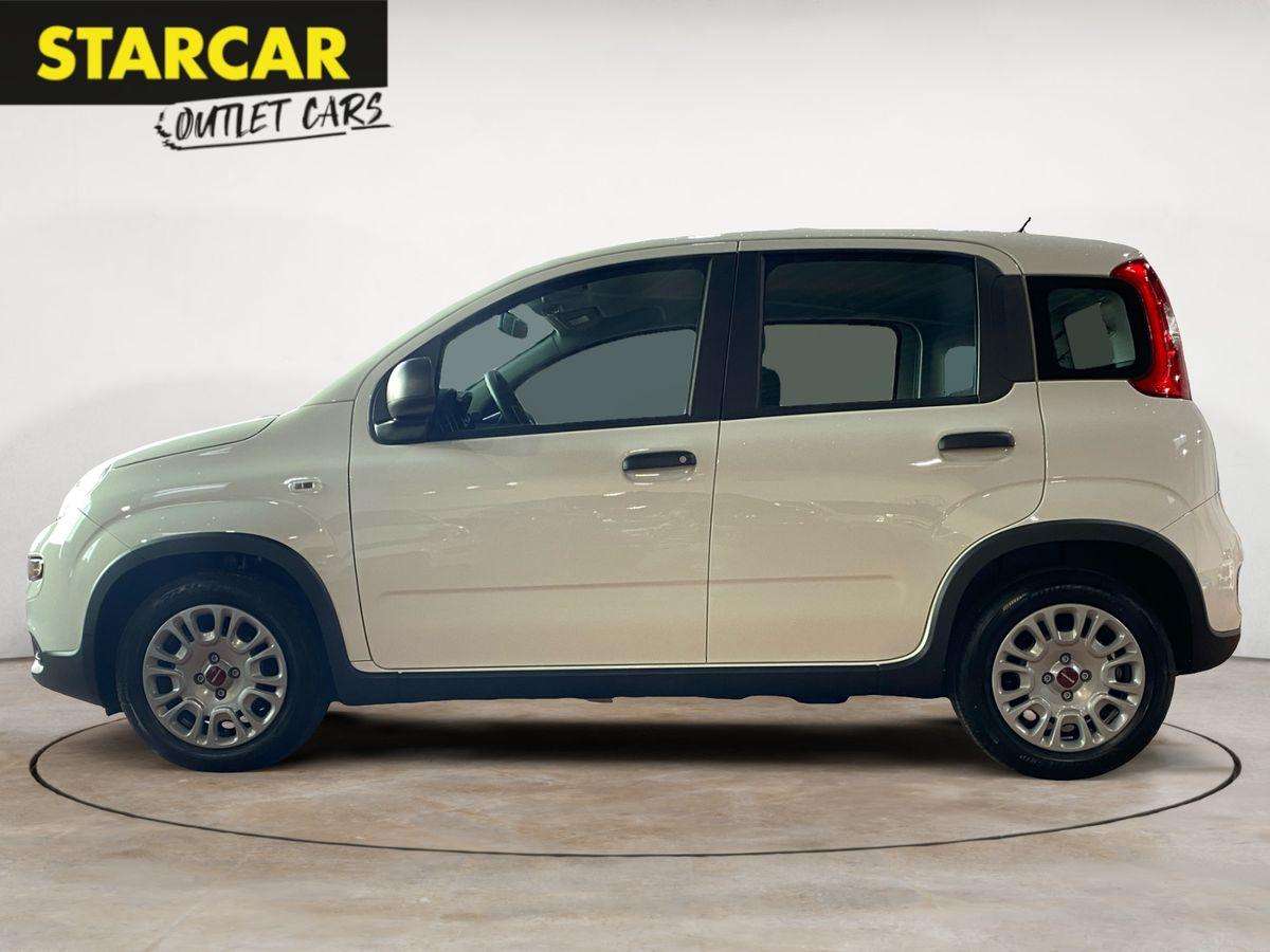Fahrzeugbild eines Fiat Panda