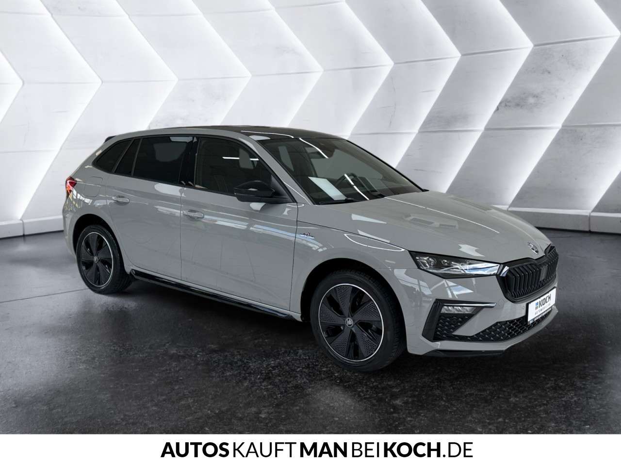 Fahrzeugbild eines Skoda Scala