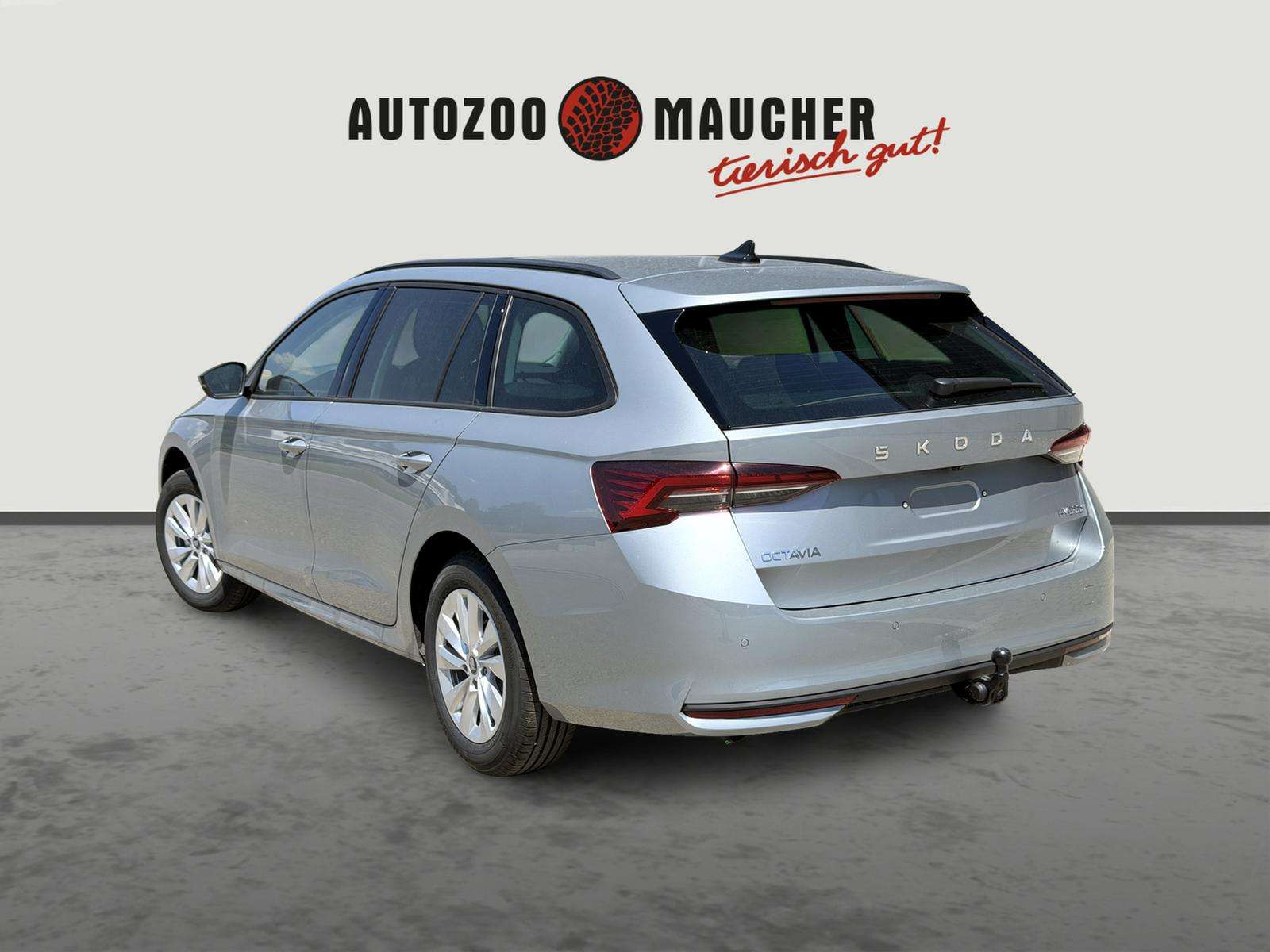 Fahrzeugbild eines Skoda Octavia