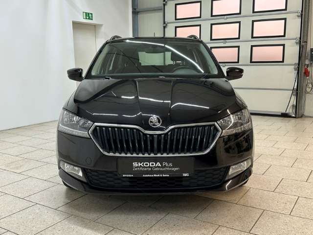 Fahrzeugbild eines Skoda Fabia