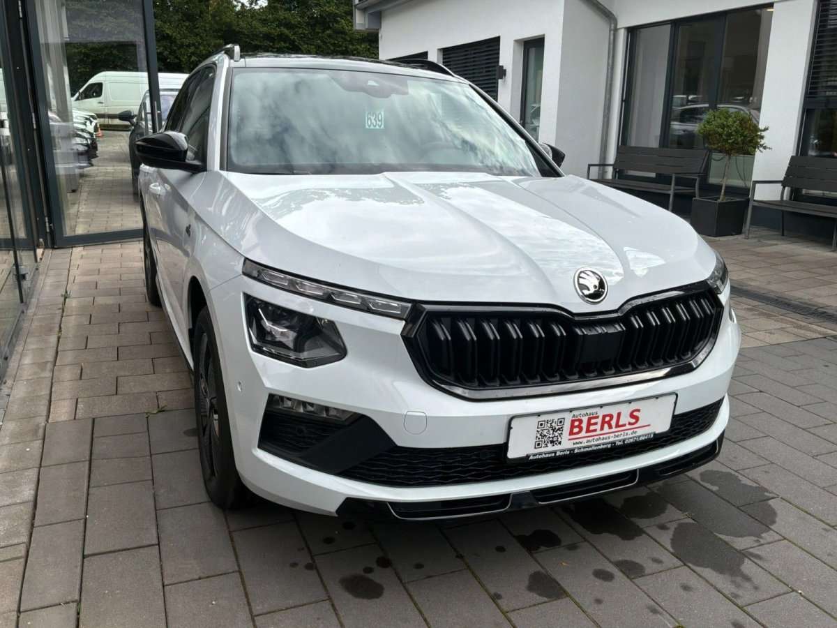 Fahrzeugbild eines Skoda Kamiq