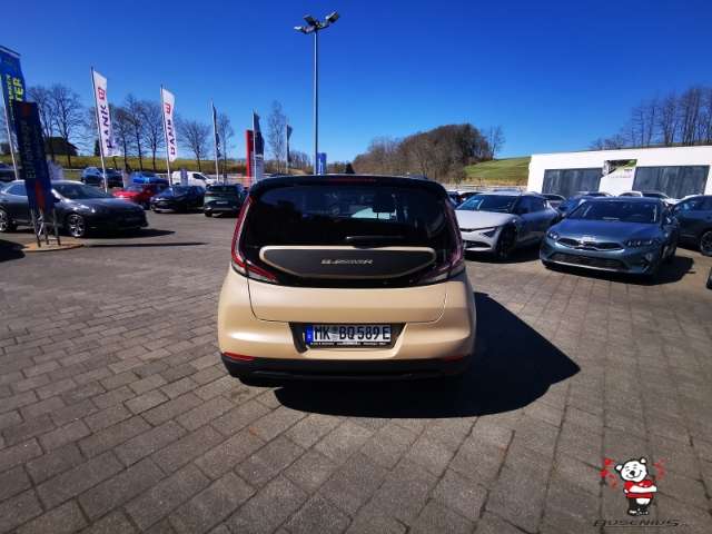 Fahrzeugbild eines Kia Soul