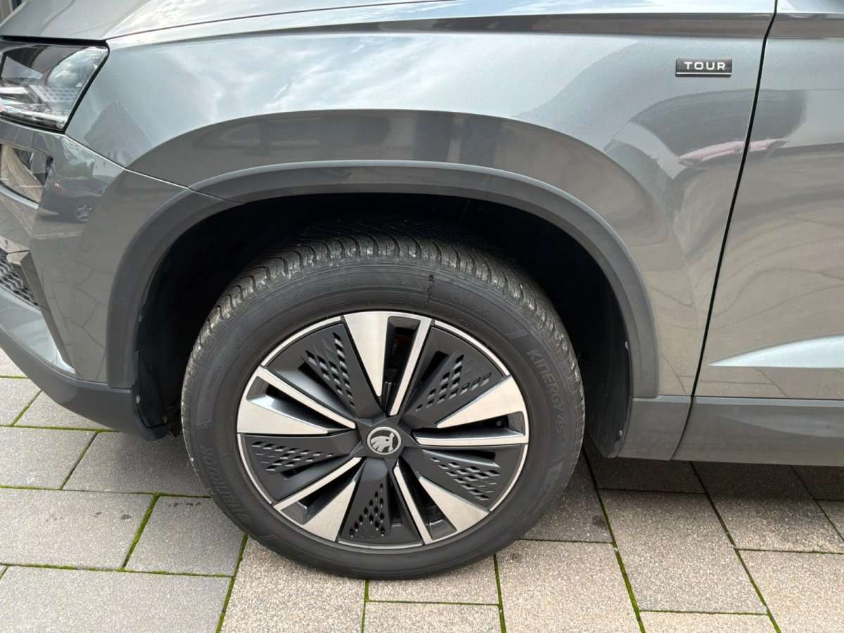 Fahrzeugbild eines Skoda Karoq