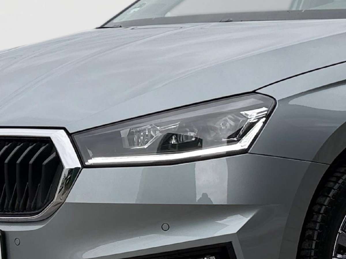 Fahrzeugbild eines Skoda Fabia